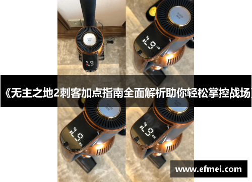 《无主之地2刺客加点指南全面解析助你轻松掌控战场》